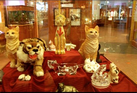 Cat Museum Novibet