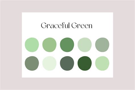 Graceful Green Review 2024