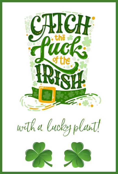 Irish Luck Novibet